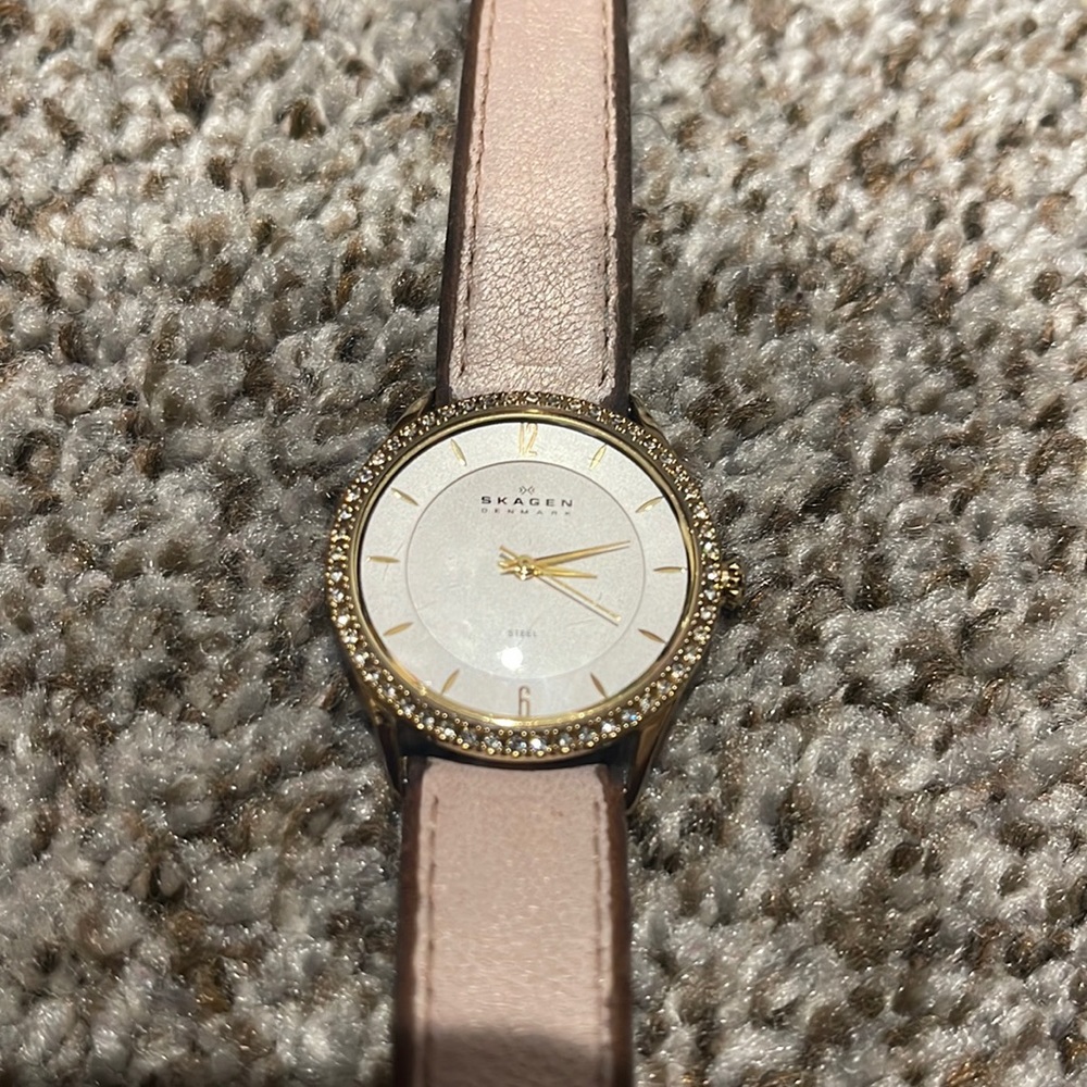 skagen wristwatch